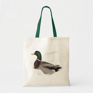Duck in Snow Bags