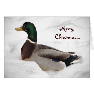 Duck in Snow Christmas