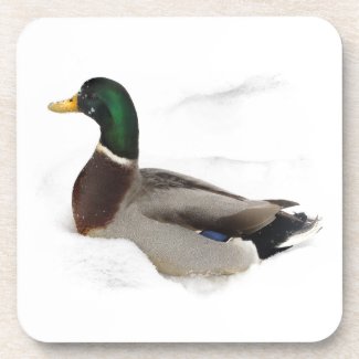 Duck in Snow Drink Coaster