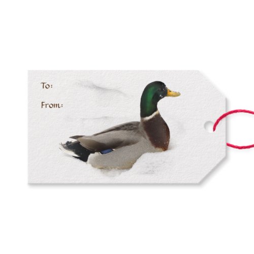 Duck in Snow Pack of Gift Tags