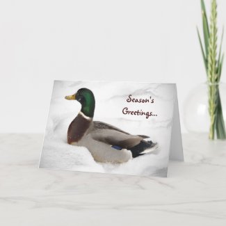 Duck in Snow Seasons Greetings Card