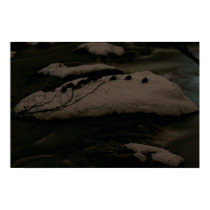 Duck Island posters by swight74 Duck Island posters