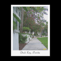 Duck Key, Florida postcards
