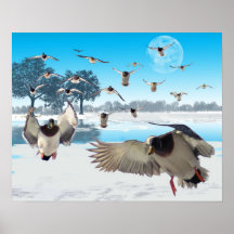 Duck Lake Posters