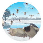 Duck Lake Sticker