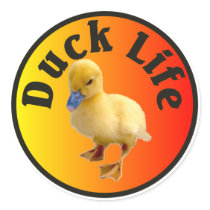 Duck Life Sticker by burntright Duck Life Sticker