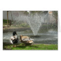 Duck love cards by imwest Duck love cards