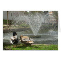 Duck love cards by imwest Duck love cards