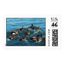 duck lovers postage
