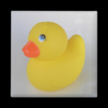 Duck Magnet magnets