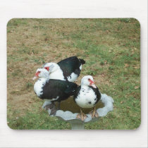 Duck Mousepad by calmlake Duck Mousepad