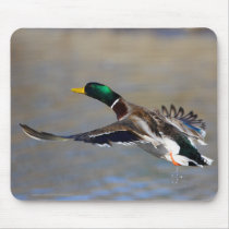Duck mousepads by WorldDesign Duck mousepads