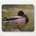 Duck Mousepad