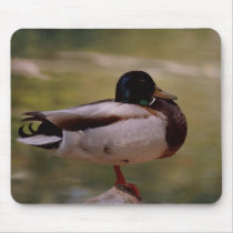 Duck Mousepad by quetzal323 Duck Mousepad
