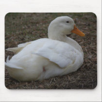Duck  Mousepad mousepads