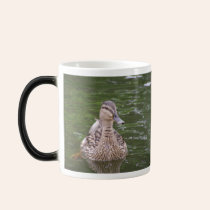 Duck Mug mugs