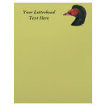 Duck:  Muscovy Head Letterhead Template