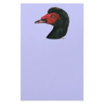 Duck:  Muscovy Head Personalized Stationery