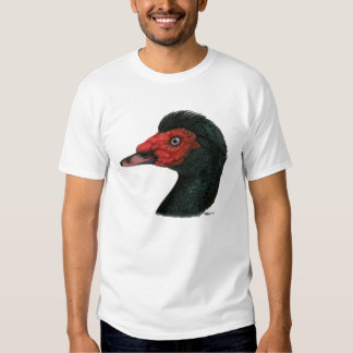 mens duckhead shirts