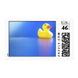 Duck on Blue Stamp