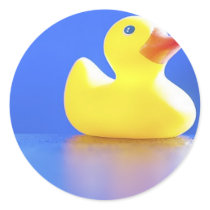 Duck on Blue Stickers