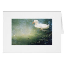 duck on pond cards