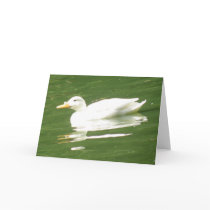 Duck on the water Greeting Card