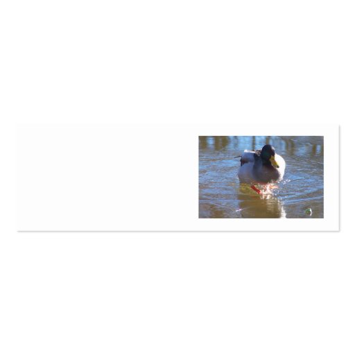 Duck on Thin Ice skinny business card (back side)