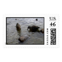 Duck Pals postage