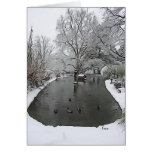duck pond cards