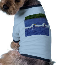 Duck Pond pet clothing by sharonsphotography Duck Pond pet clothing