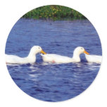 Duck Pond Stickers