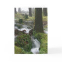 Duck Pond Torrent Greeting Card by james_orear2 Duck Pond Torrent Greeting Card