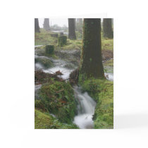Duck Pond Torrent Greeting Card by james_orear2 Duck Pond Torrent Greeting Card