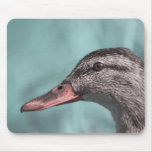 Duck portrait v2 Mousepad