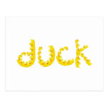 Duck Post Cards