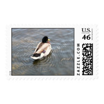 Duck Postage postage by squirrel27 Duck Postage postage