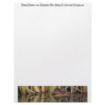 Duck & Reeds Letterhead