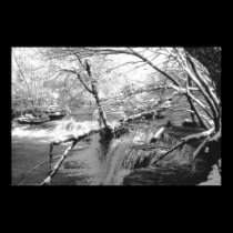 Duck River at Old Stone Fort posters