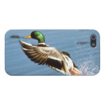 Duck "Savvy" iPhone 5 Cover
