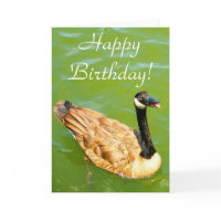 Duck says Happy Birthday! card