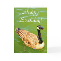 Duck says Happy Birthday! cards by princessklb07 Duck says Happy Birthday! cards