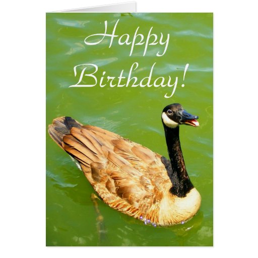 Duck Says Happy Birthday Greeting Card Zazzle
