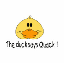 Duck Says Quack photo sculptures