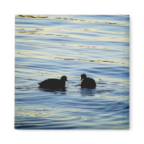 Duck Silhouette Magnet magnets