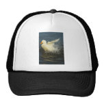 Duck Splash Trucker Hats