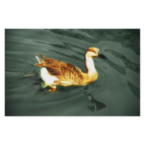 Duck stationery by dinatemraz Duck stationery