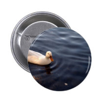 DUCK Swim Button