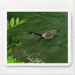Duck that has lots to say mouse pads