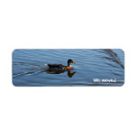 Duck we moved labels labels